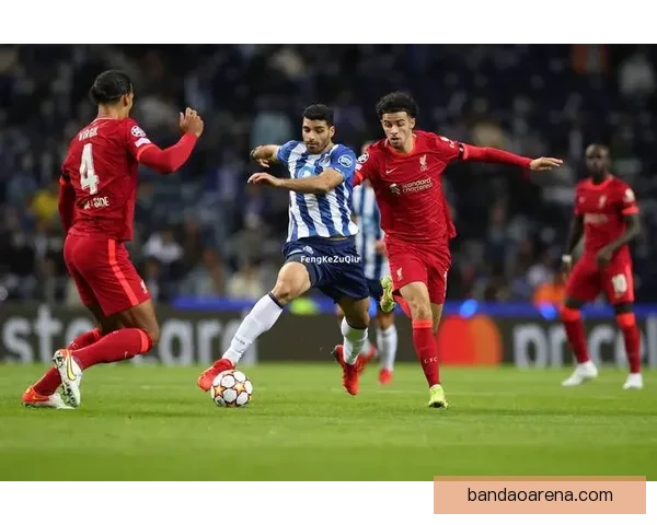 世界杯竞猜网站全方位攻略与投注技巧解析助你轻松掌握足球赛事预测秘诀